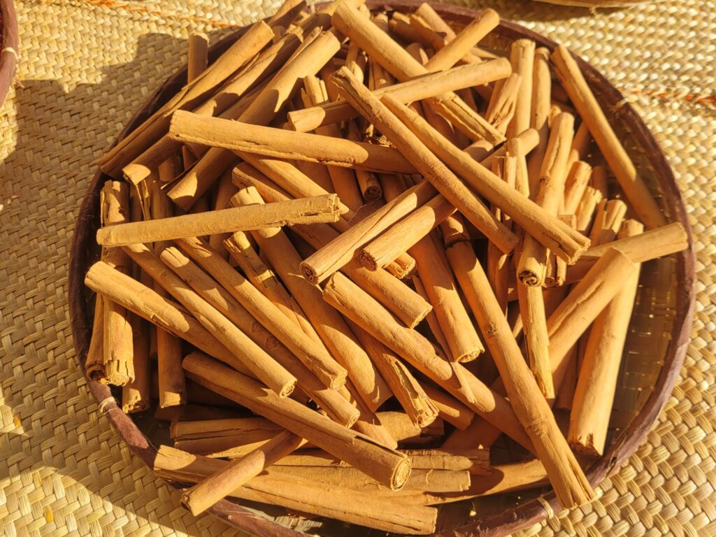 Cannelle